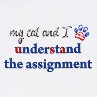My Cat And I Understand The Assignment Flat Bill Trucker Hat