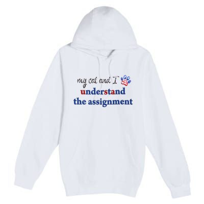My Cat And I Understand The Assignment Premium Pullover Hoodie