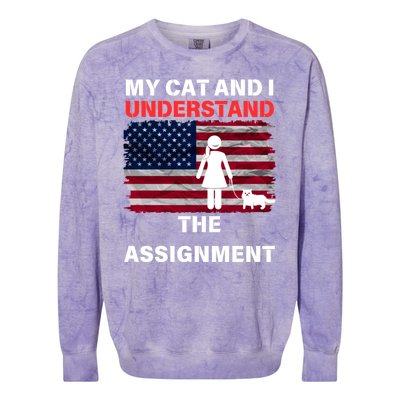 My Cat And I Understand The Assignment Usa Flag Colorblast Crewneck Sweatshirt