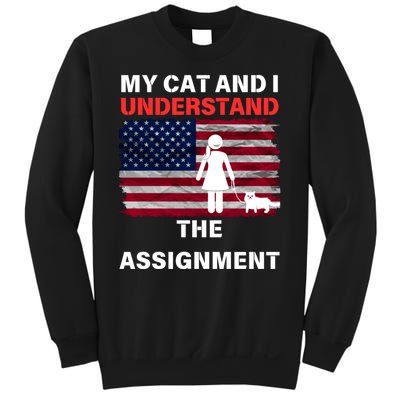 My Cat And I Understand The Assignment Usa Flag Sweatshirt