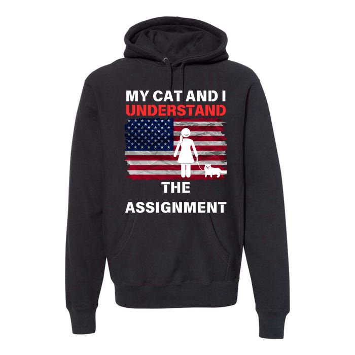 My Cat And I Understand The Assignment Usa Flag Premium Hoodie