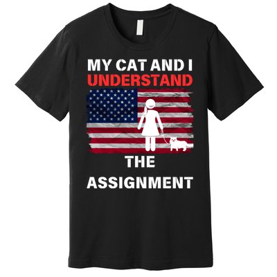 My Cat And I Understand The Assignment Usa Flag Premium T-Shirt