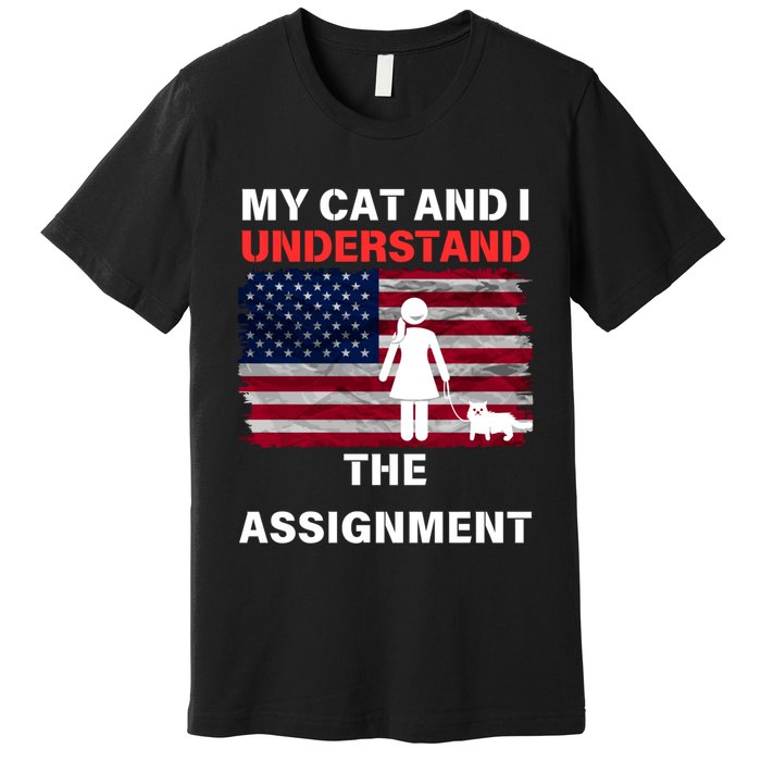 My Cat And I Understand The Assignment Usa Flag Premium T-Shirt