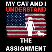 My Cat And I Understand The Assignment Usa Flag Premium T-Shirt