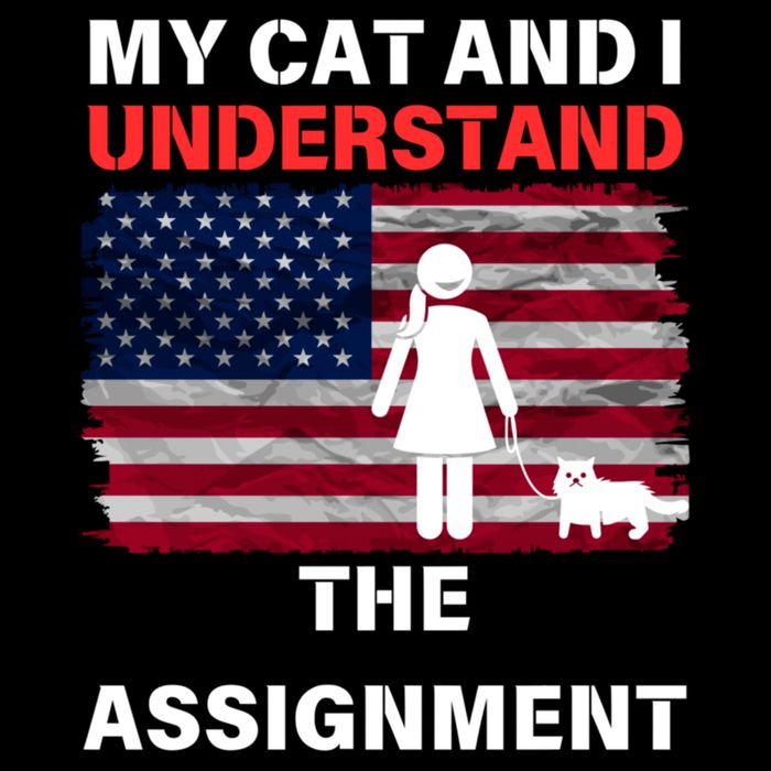 My Cat And I Understand The Assignment Usa Flag Premium T-Shirt