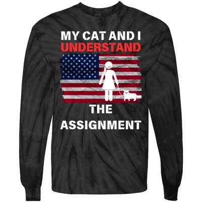 My Cat And I Understand The Assignment Usa Flag Tie-Dye Long Sleeve Shirt