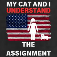 My Cat And I Understand The Assignment Usa Flag Trucker Hat