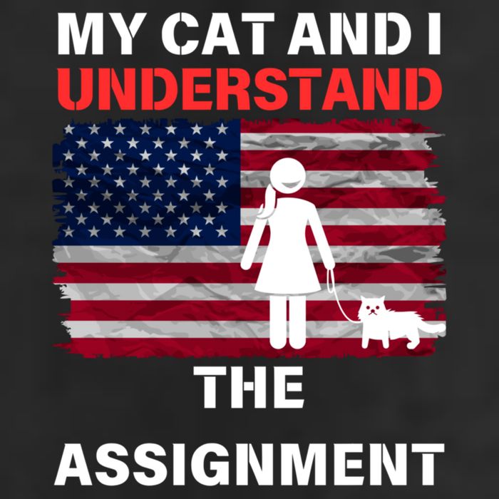 My Cat And I Understand The Assignment Usa Flag Trucker Hat
