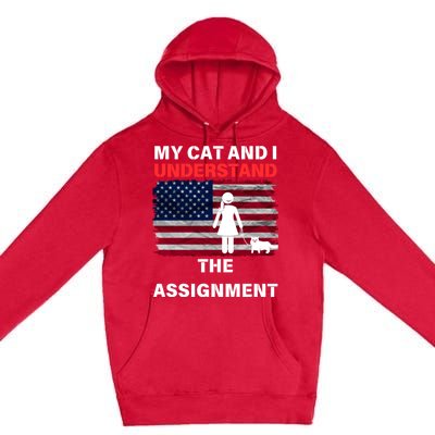 My Cat And I Understand The Assignment Usa Flag Premium Pullover Hoodie