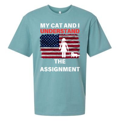 My Cat And I Understand The Assignment Usa Flag Sueded Cloud Jersey T-Shirt