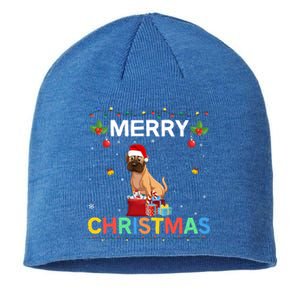 Merry Christmas Boxer Dog Lovers Group Xmas Holiday Party Cool Gift Sustainable Beanie