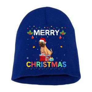 Merry Christmas Boxer Dog Lovers Group Xmas Holiday Party Cool Gift Short Acrylic Beanie