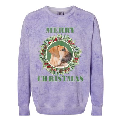 Merry Christmas Boerboel Tank Top Colorblast Crewneck Sweatshirt