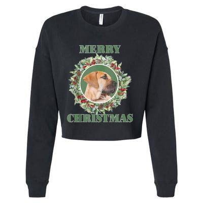 Merry Christmas Boerboel Tank Top Cropped Pullover Crew