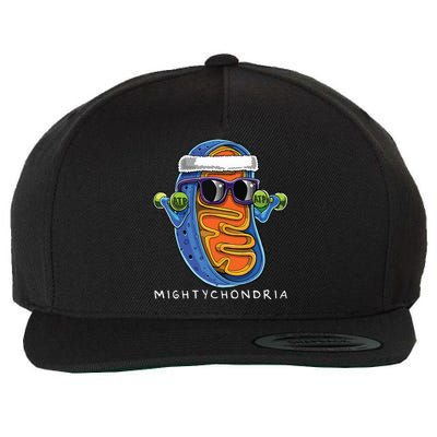 Mightychondria Cellular Biology Science Teacher Funny Gift Wool Snapback Cap