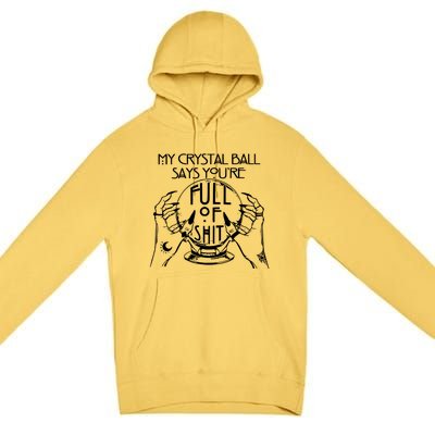 My Crystal Ball Says You're Full Of Shit Wizard Witch Fortune Teller Premium Pullover Hoodie