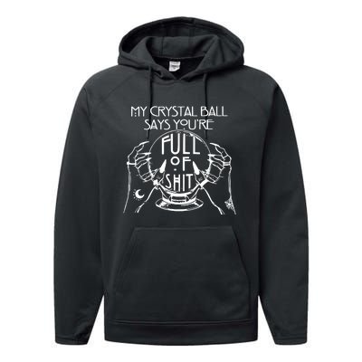 My Crystal Ball Says You're Full Of Shit Wizard Witch Fortune Teller Performance Fleece Hoodie