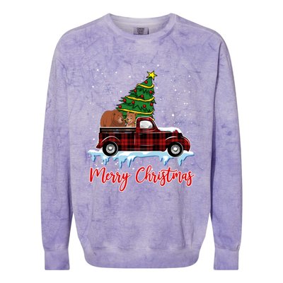 Merry Christmas Bear Xmas Plaid Red Truck Tree On Car Gift Colorblast Crewneck Sweatshirt