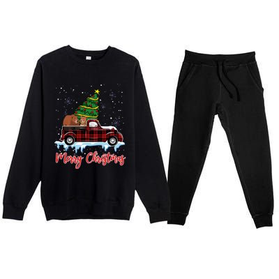 Merry Christmas Bear Xmas Plaid Red Truck Tree On Car Gift Premium Crewneck Sweatsuit Set