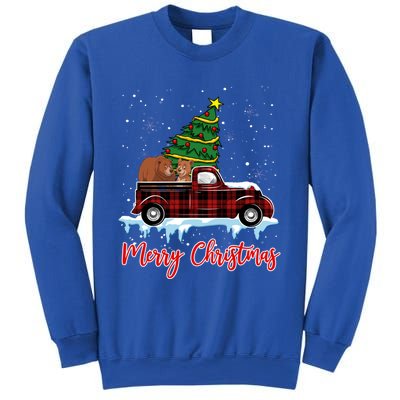 Merry Christmas Bear Xmas Plaid Red Truck Tree On Car Gift Sweatshirt