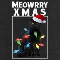 Meowy Christmas Cat With Lights And Santa Hat 7 Panel Mesh Trucker Snapback Hat