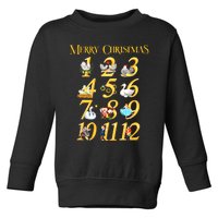 Merry Christmas Carol 12 Days Gift Toddler Sweatshirt