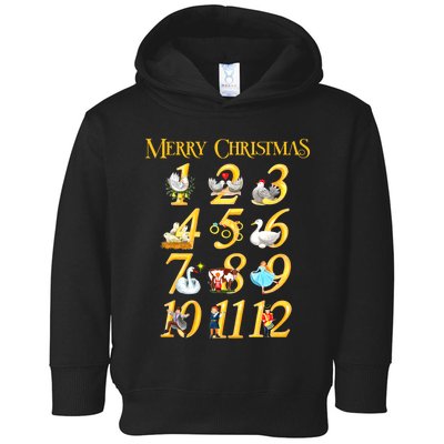 Merry Christmas Carol 12 Days Gift Toddler Hoodie