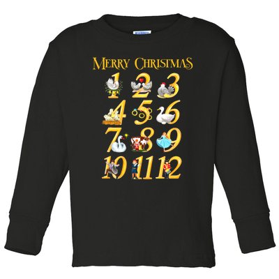 Merry Christmas Carol 12 Days Gift Toddler Long Sleeve Shirt