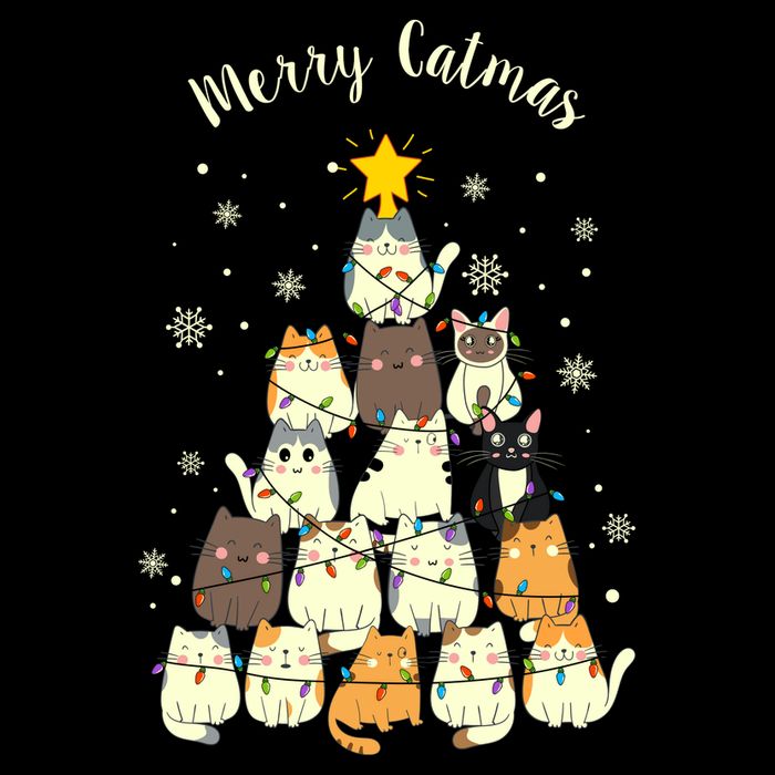 Merry Catmas Cute Cat Lover Christmas Flat Bill Trucker Hat