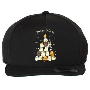 Merry Catmas Cute Cat Lover Christmas Wool Snapback Cap