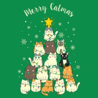 Merry Catmas Cute Cat Lover Christmas T-Shirt