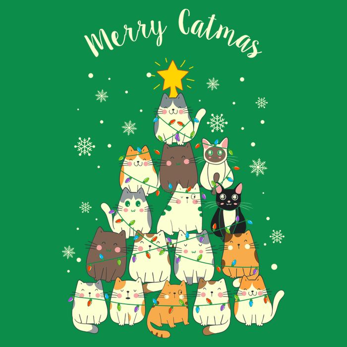 Merry Catmas Cute Cat Lover Christmas T-Shirt