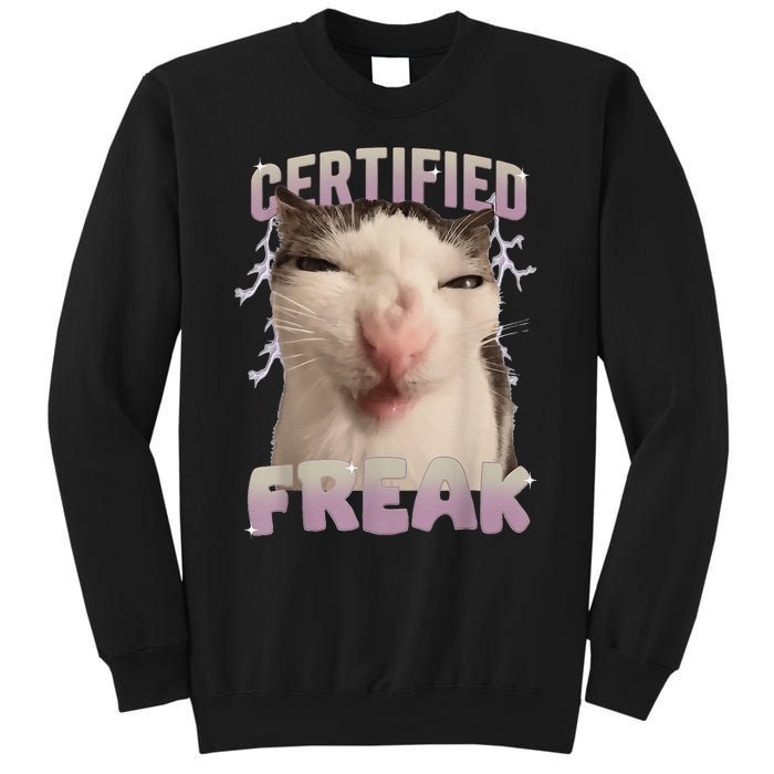 Meme Cat Certified Freak Eat Cement Cursed Cat Funny Gift Sweatshirt