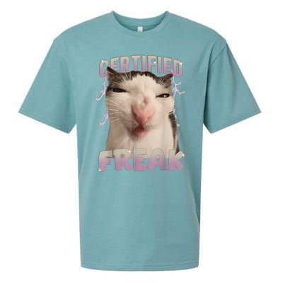 Meme Cat Certified Freak Eat Cement Cursed Cat Funny Gift Sueded Cloud Jersey T-Shirt