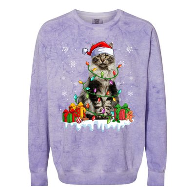 Maine Coon Cat Xmas Light Christmas Kitten Lover Funny Gift Colorblast Crewneck Sweatshirt