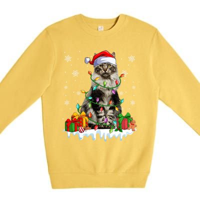 Maine Coon Cat Xmas Light Christmas Kitten Lover Funny Gift Premium Crewneck Sweatshirt