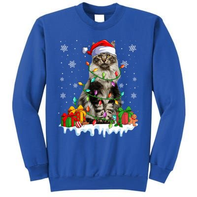 Maine Coon Cat Xmas Light Christmas Kitten Lover Funny Gift Sweatshirt