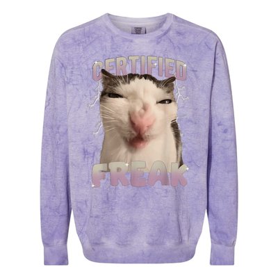 Meme Cat Certified Freak Eat Cement Cursed Cat Funny Colorblast Crewneck Sweatshirt