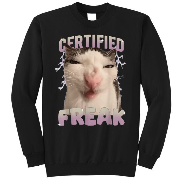 Meme Cat Certified Freak Eat Cement Cursed Cat Funny Sweatshirt