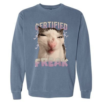 Meme Cat Certified Freak Eat Cement Cursed Cat Funny Garment-Dyed Sweatshirt