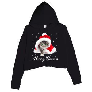 Merry Catmas Cute Cat Kitten Santa Hat Christmas Gift Funny Crop Fleece Hoodie