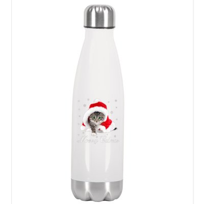 Merry Catmas Cute Cat Kitten Santa Hat Christmas Gift Funny Stainless Steel Insulated Water Bottle