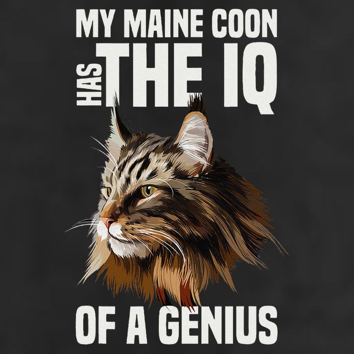 Maine Coon Cat IQ Genius 11oz C Handle Ceramic Mug