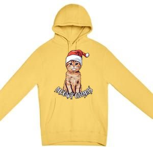 Meowy Catmas Cute Ginger Kitten Santa Hat Merry Christmas Meaningful Gift Premium Pullover Hoodie