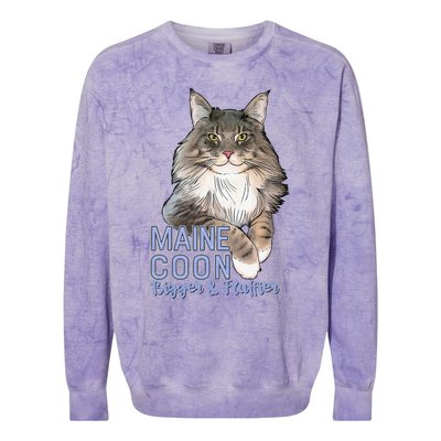 Maine Coon Cat Bigger & Fluffier Funny Colorblast Crewneck Sweatshirt