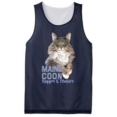 Maine Coon Cat Bigger & Fluffier Funny Mesh Reversible Basketball Jersey Tank