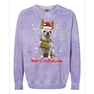 Merry Christmas Cute Chihuahua Dog Xmas Lights Pajama Great Gift Colorblast Crewneck Sweatshirt