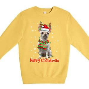 Merry Christmas Cute Chihuahua Dog Xmas Lights Pajama Great Gift Premium Crewneck Sweatshirt