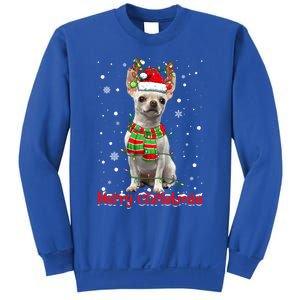 Merry Christmas Cute Chihuahua Dog Xmas Lights Pajama Great Gift Sweatshirt