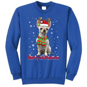 Merry Christmas Cute Chihuahua Dog Xmas Lights Pajama Great Gift Tall Sweatshirt